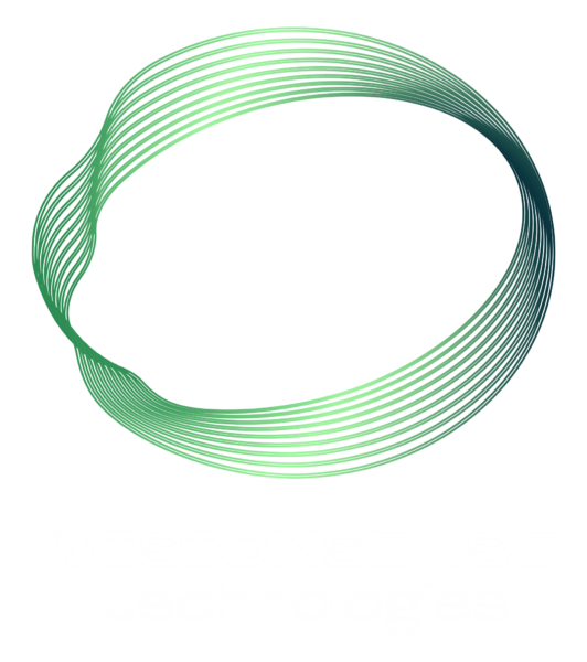 VisionSense